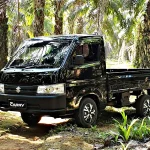 suzuki carry pick up