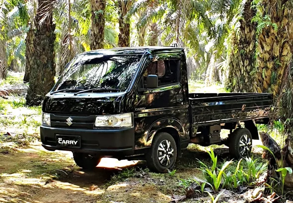 suzuki carry pick up