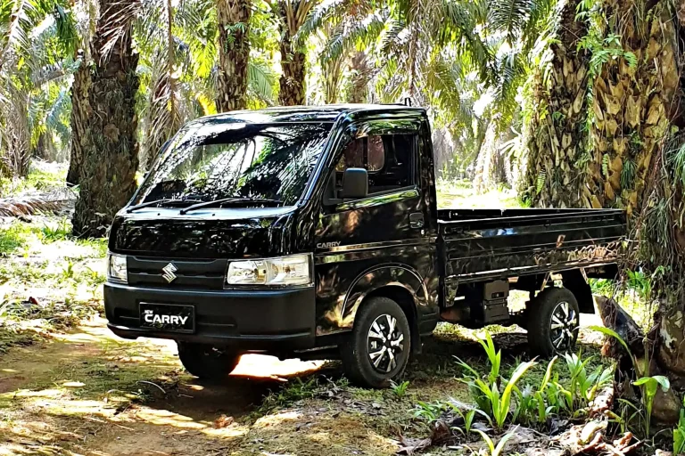 suzuki carry pick up