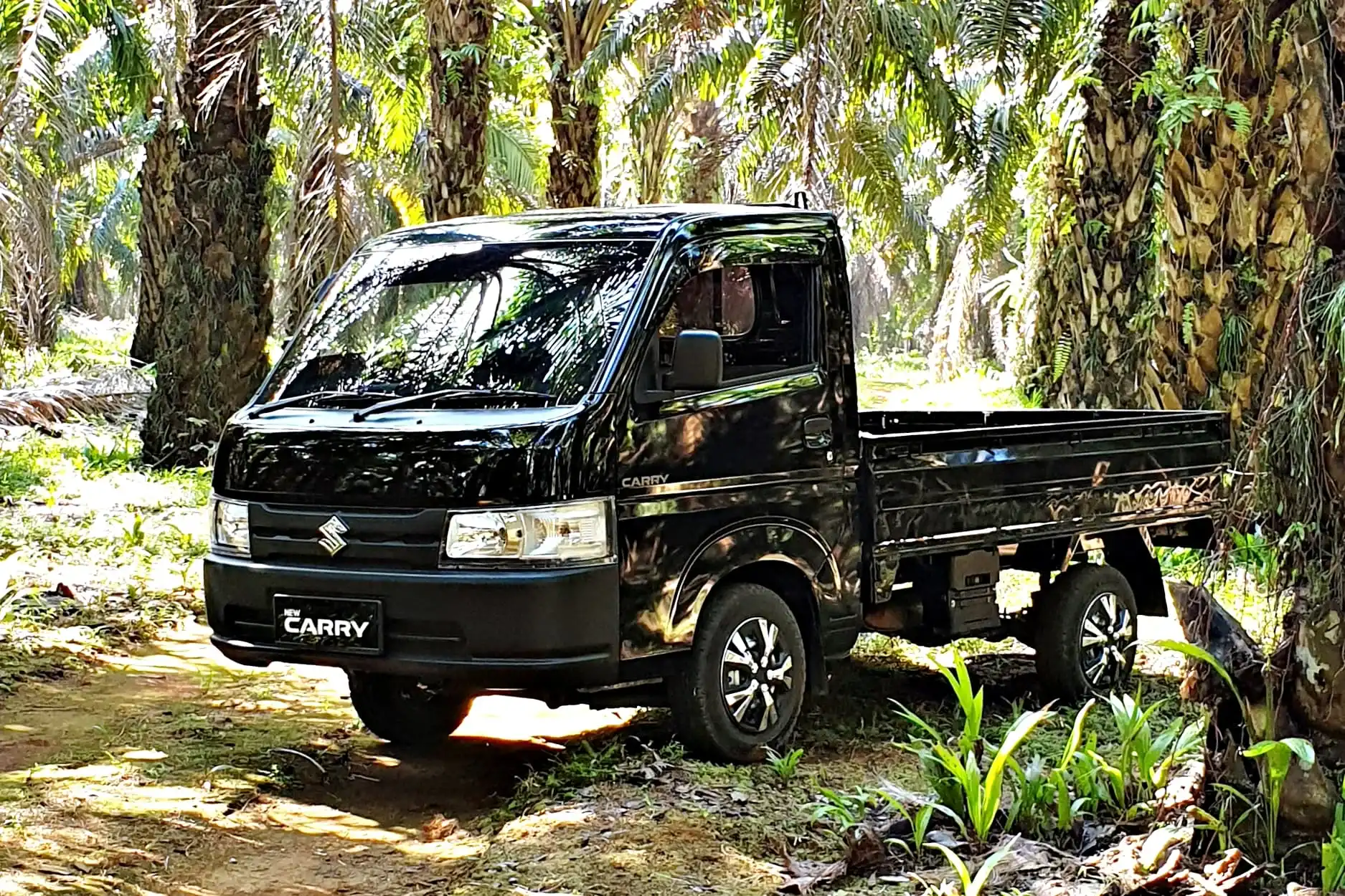 suzuki carry pick up